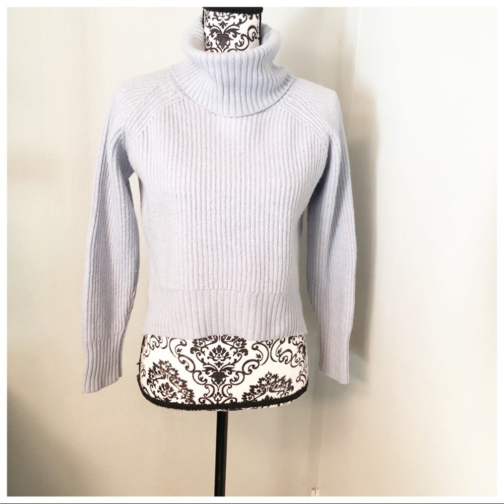 Winfred Free Aritzia Baby Blue Sweater
